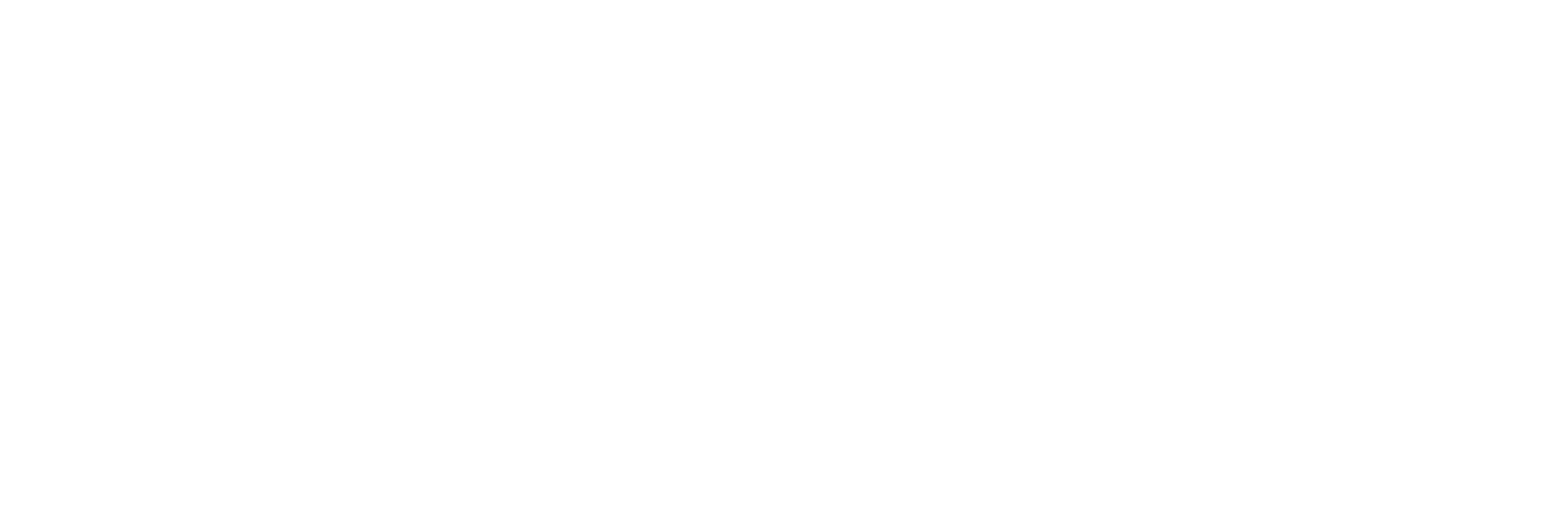 zogo logo white